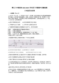 湖北省黄石市第八中学教联体2023-2024学年部编版八年级下学期5月期中历史试题