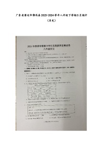 广东省清远市佛冈县2023-2024学年部编版八年级历史下学期期中测试题