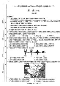 2024年安徽省阜阳市名校联考中考二模历史试题