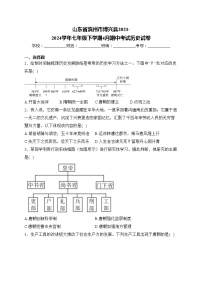 山东省滨州市博兴县2023-2024学年七年级下学期4月期中考试历史试卷(含答案)