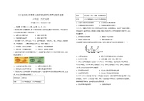 四川省泸州市合江县2023-2024学年八年级下学期期中考试历史试题（含答案）