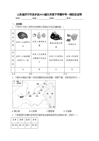 山东省济宁市金乡县2024届九年级下学期中考一模历史试卷(含答案)