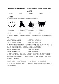 湖南省益阳市大通湖管理区三校2024届九年级下学期6月中考二模历史试卷(含答案)