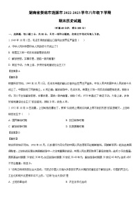 [历史]湖南省娄底市涟源市2022-2023学年八年级下学期期末试题（解析版）