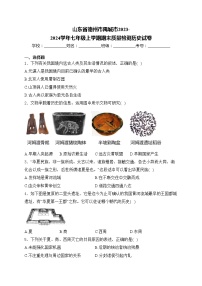 山东省德州市禹城市2023-2024学年七年级上学期期末质量检测历史试卷(含答案)