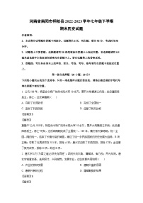 [历史]河南省南阳市桐柏县2022-2023学年七年级下学期期末试题（解析版）
