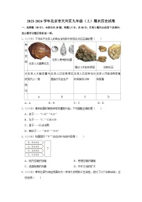 2023-2024学年北京市大兴区九年级（上）期末历史试卷