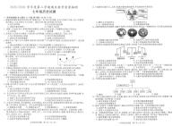 安徽省合肥市庐江县2023-2024学年部编版七年级历史下学期期末教学质量检测试题