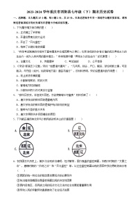 重庆市酉阳土家族苗族自治县2023-2024学年部编版七年级下学期期末历史试卷（含解析）