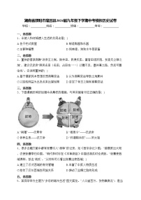 湖南省邵阳市隆回县2024届九年级下学期中考模拟历史试卷(含答案)