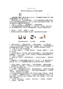 [历史][三模]深圳市深中体系联考2024年中考历史三模试卷
