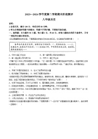 广东省湛江市霞山区2023_2024学年八年级下学期期末考试历史试题(无答案)