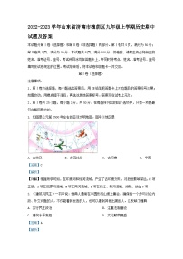 2022-2023学年山东省济南市槐荫区九年级上学期历史期中试题及答案