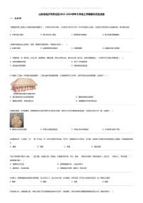 [历史][期末]山东省临沂市罗庄区2023-2024学年七年级上学期期末历史试题