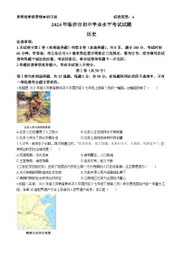 2024年山东省临沂市中考历史真题（含答案）