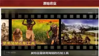 初中历史人教版（2024）七年级上册第2课 原始农业与史前社会完美版课件ppt