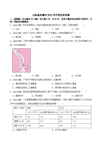 [历史]2022年山东省东营市中考真题历史试卷及答案