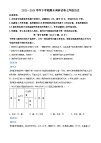 河南省平顶山市鲁山县2023--2024学年下学期期末调研考试七年级历史试卷（解析版）