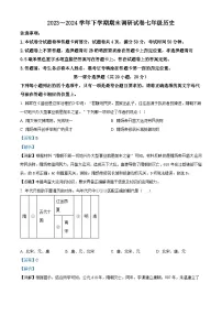 河南省平顶山市鲁山县2023--2024学年下学期期末调研考试七年级历史试卷（解析版）