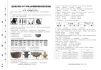 四川省宜宾龙文学校2023-2024学年七年级上学期期末模拟（12月）历史试题