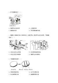 古代世界-漫画类试题汇编-2024-2025学年度初中历史微专题学案