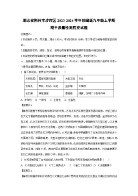 【历史】湖北省荆州市沙市区2023-2024学年部编版九年级上学期期中质量检测试题（解析版）