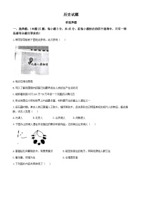 河北省定州市多校2024-2025学年部编版七年级上册第一次月考历史题(无答案)