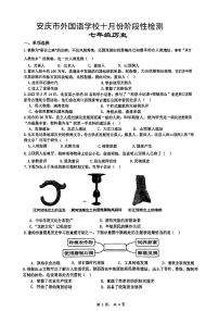 安徽省安庆市外国语学校2024-2025学年七年级上学期10月月考历史试题