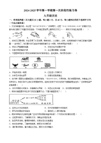 江西省吉安市永丰县十一校联考2024-2025学年部编版九年级上学期10月月考历史试题