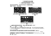 上海市闵行区多校2024-2025学年八年级上学期期中历史试题