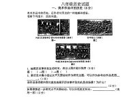 上海市闵行区多校2024-2025学年八年级上学期期中历史试题