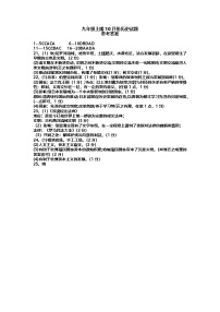 河南省信阳市光山县第六初级中学2024-2025学年部编版九年级上学期10月期中历史试题