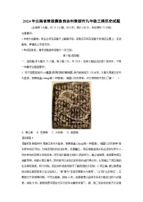 2024年云南省楚雄彝族自治州楚雄市九年级中考三模历史试题（解析版）