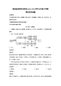 陕西省咸阳市泾阳县2022-2023学年七年级下学期期末历史试卷（解析版）