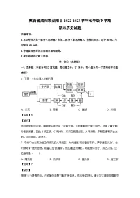 陕西省咸阳市泾阳县2022-2023学年七年级下学期期末历史试卷（解析版）