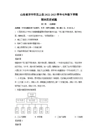 山东省济宁市汶上县2022-2023学年七年级下学期期末历史试卷（解析版）