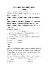 2024年湖北省武汉市黄陂区中考三模历史试卷(解析版)