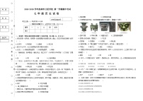 黑龙江省虎林市卫星学校2024-2025学年部编版七年级上学期期中历史试卷