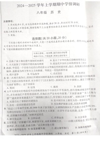 河南省郑州市登封市嵩阳中学2024--2025学年部编版八年级历史上学期期中考试卷