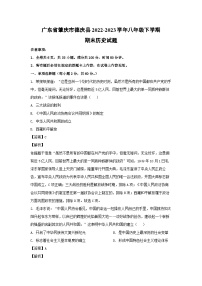 广东省肇庆市德庆县2022-2023学年八年级下学期期末历史试卷(解析版)