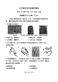 河南省郑州市中原区郑州外国语中学2024-2025学年部编版九年级上学期11月期中历史试题