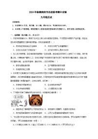 河南省南阳市名校联考2024-2025学年九年级上学期11月期中历史试题