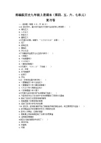 部编版历史九年级上册期末（第四、五、六、七单元）复习卷