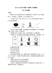 山东省招远市2024-2025学年七年级上学期期中考试历史试题