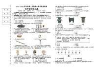 辽宁省抚顺市新宾满族自治县2024-2025学年七年级上学期期中教学质量检测历史试卷