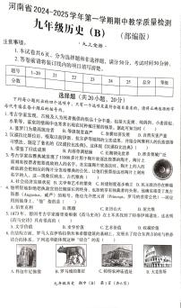 河南省郑州市新郑市2024-2025学年部编版九年级历史上学期期中测试题