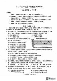 四川省宜宾市江安县2024-2025学年部编版八年级上学期期中检测历史试题