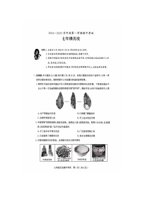 广东省茂名市电白区2024-2025学年部编版七年级历史上学期期中考试题