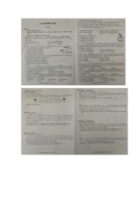 安徽怀远县2024-2025学年上学期八年级历史期中测试卷