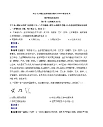 广西壮族自治区南宁市天桃实验学校2024-2025学年九年级上学期期中历史试题（解析版）